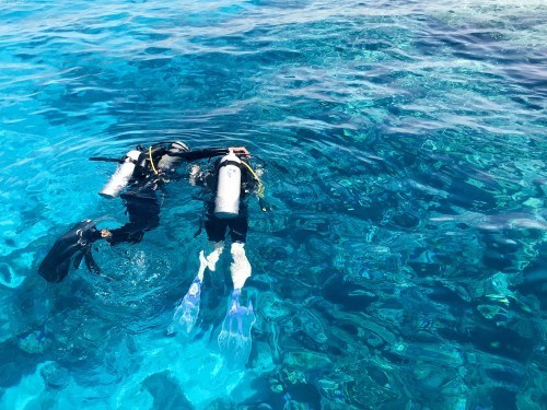 Diving in Padang Bai Bali